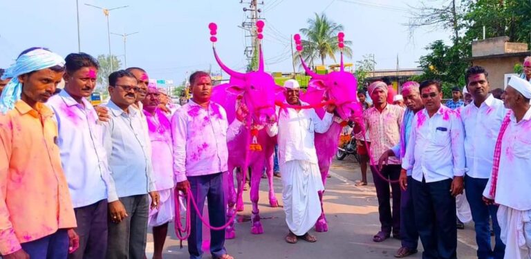 “ರೈತನಾದ ಸಹದೇವ ಗುರಪ್ಪ ಚಿಮ್ಮಟ ಅವರ  ಕಿಲಾರ ಜೋಡಿ ಎತ್ತುಗಳು 6 ಲಕ್ಷ 11 ಸಾವಿರಕ್ಕೆ ಮಾರಾಟ”